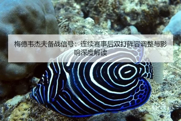mei-de-wei-jie-fu-bei-zhan-xin-hao-lian-xu-sai-shi-hou-shuang-da-zhen-rong-tiao-zheng-yu-ying-xiang-shen-du-jie-du-2-862.jpg